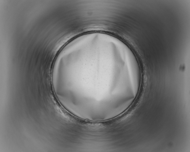 X0000111181129200907151317