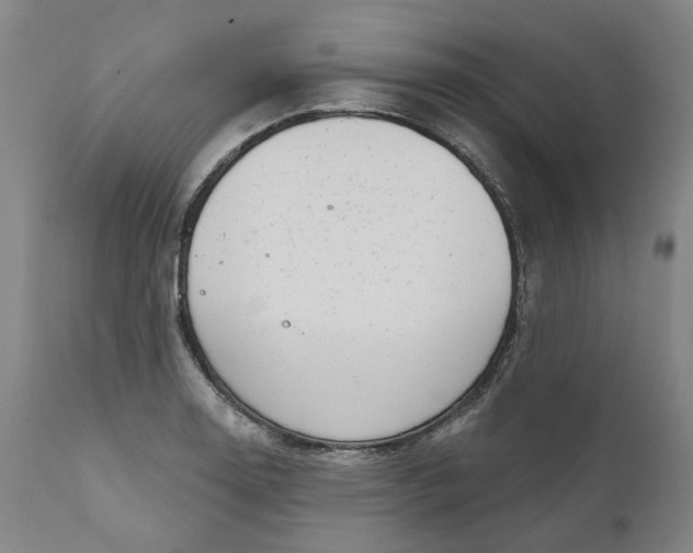 X0000111181130200907151317