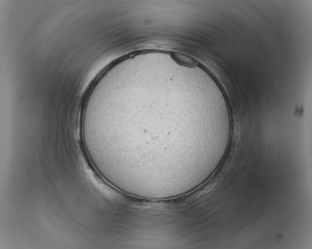 X0000111181131200907151317