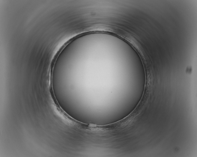 X0000111181132200907151317