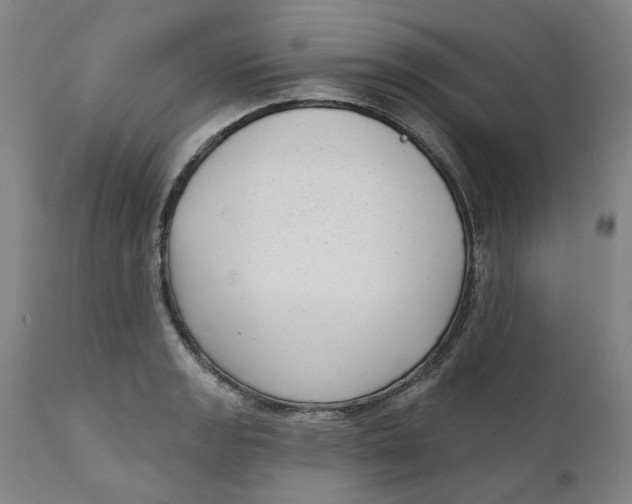 X0000111181133200907151317