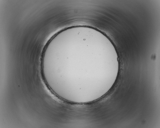 X0000111181134200907151317