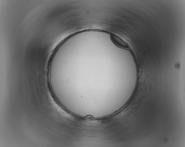 X0000111181135200907151317