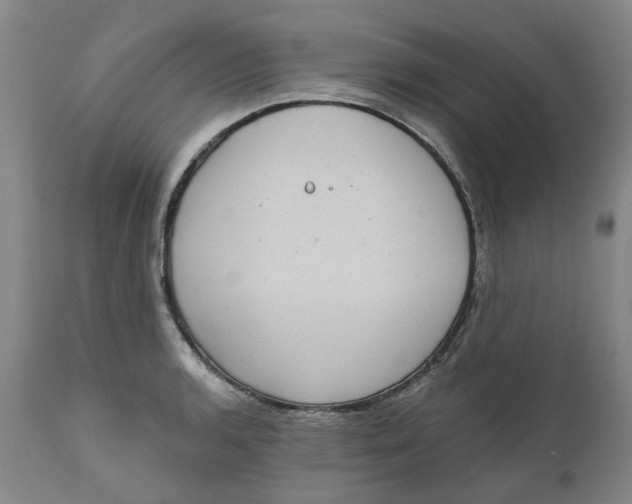 X0000111181136200907151317