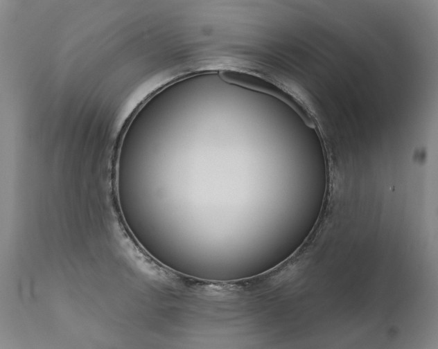 X0000111181138200907151317