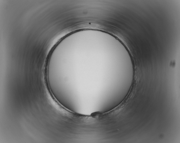 X0000111181139200907151318