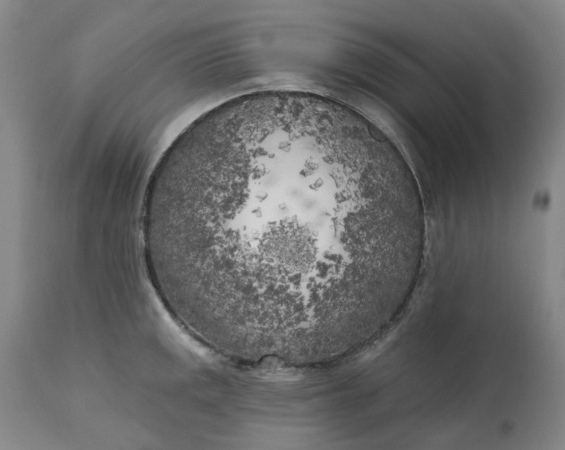 X0000111181141200907151318