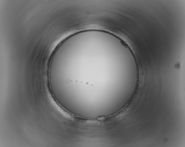 X0000111181142200907151318