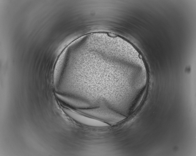 X0000111181145200907151318