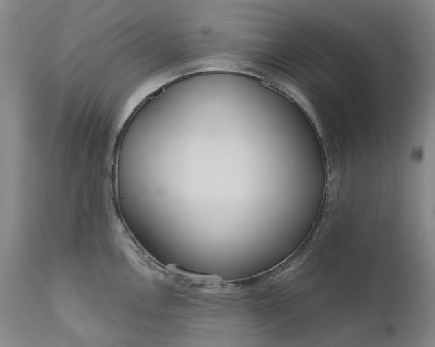 X0000111181146200907151318