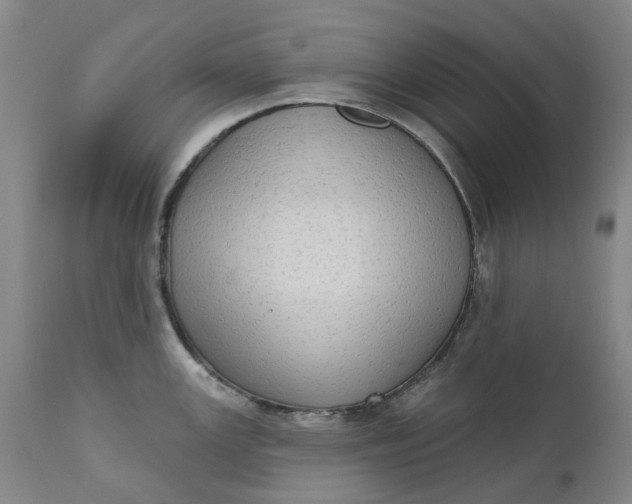 X0000111181147200907151318