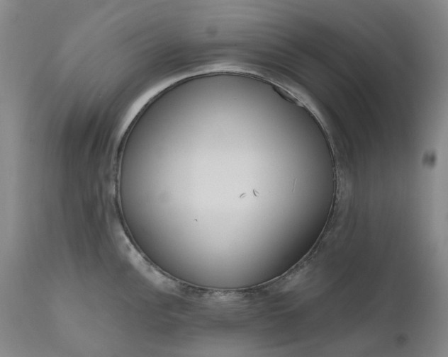 X0000111181148200907151318