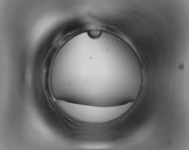 X0000111181151200907151318