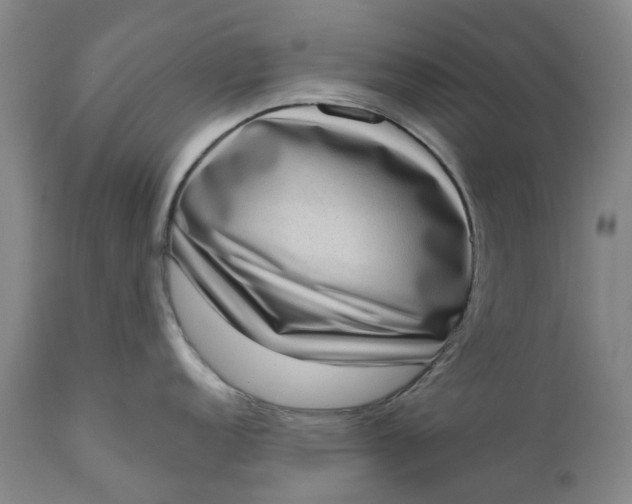 X0000111181152200907151318