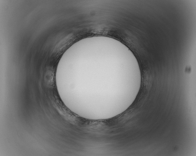 X0000111181154200907151317