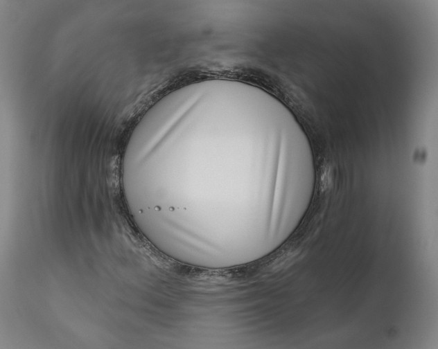 X0000111181156200907151317