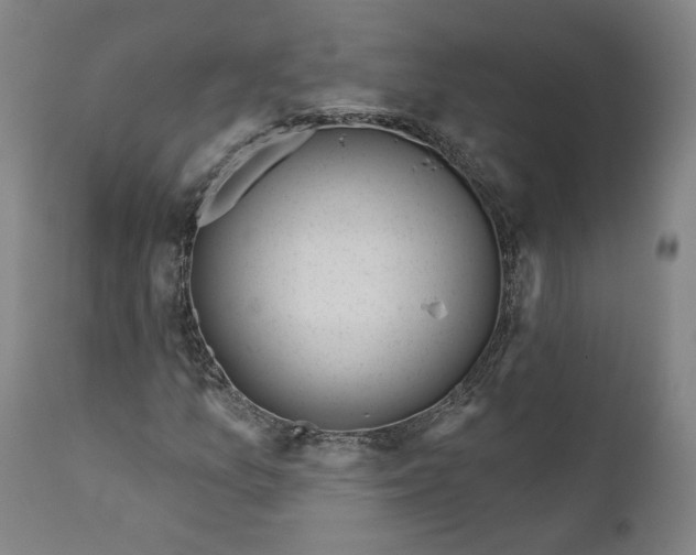 X0000111181157200907151317