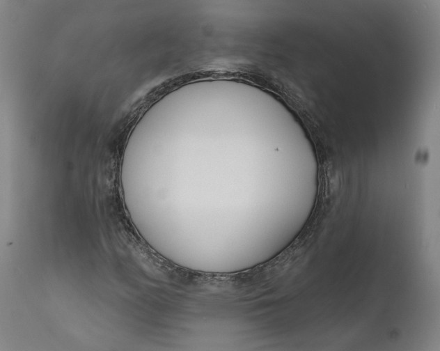 X0000111181158200907151317