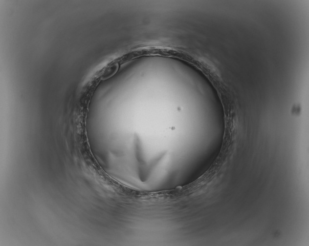 X0000111181159200907151317