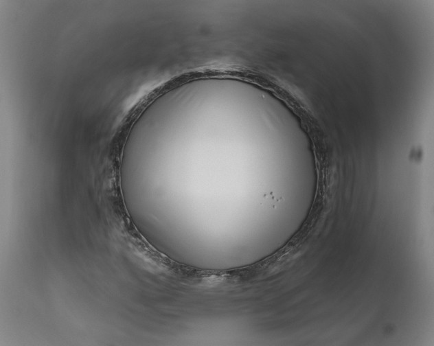 X0000111181160200907151317