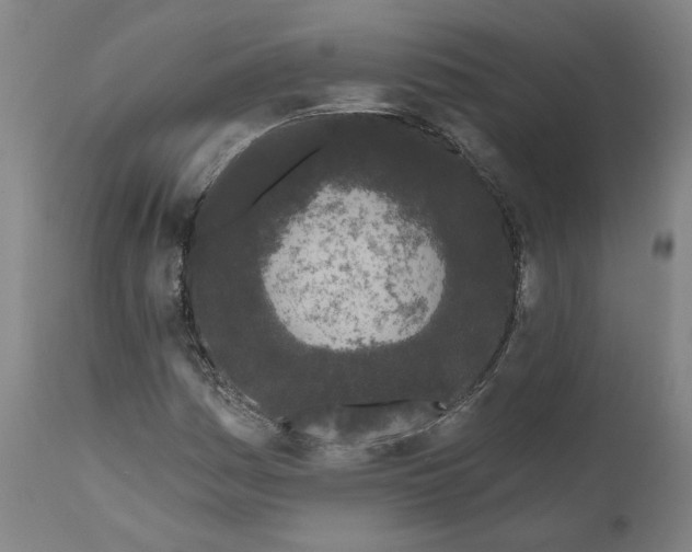 X0000111181161200907151317