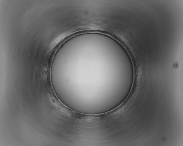 X0000111181163200907151317