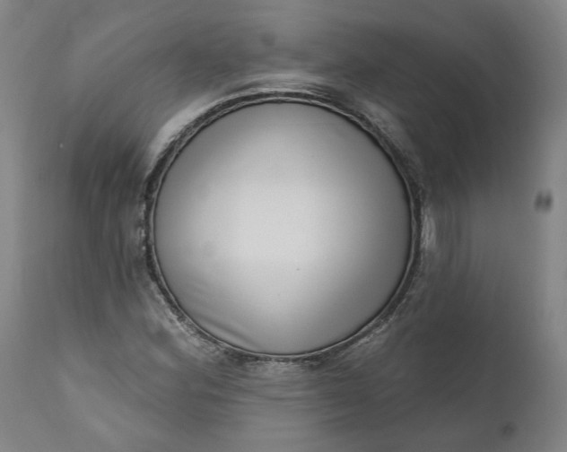 X0000111181164200907151317