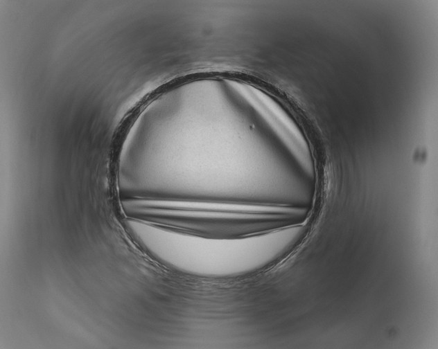 X0000111181165200907151317