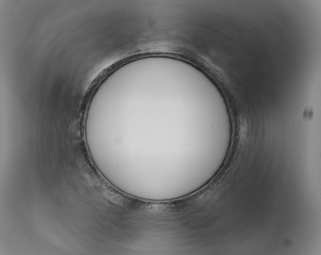 X0000111181166200907151317