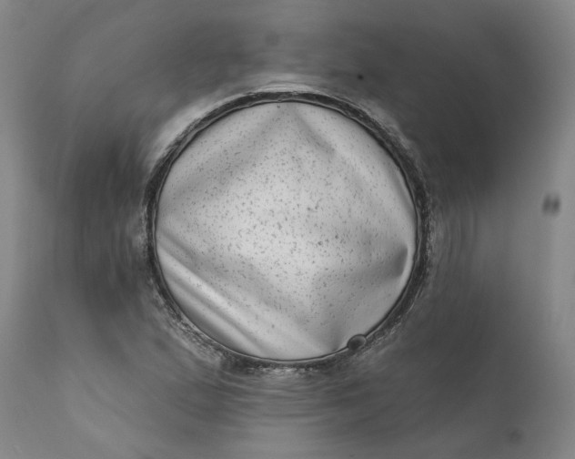 X0000111181167200907151317