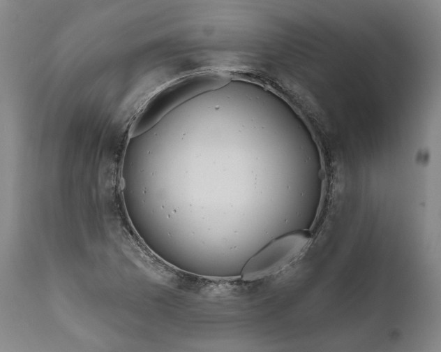 X0000111181169200907151317