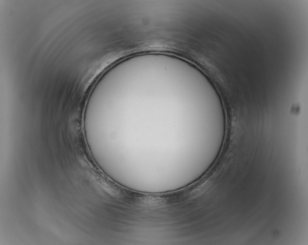 X0000111181170200907151317