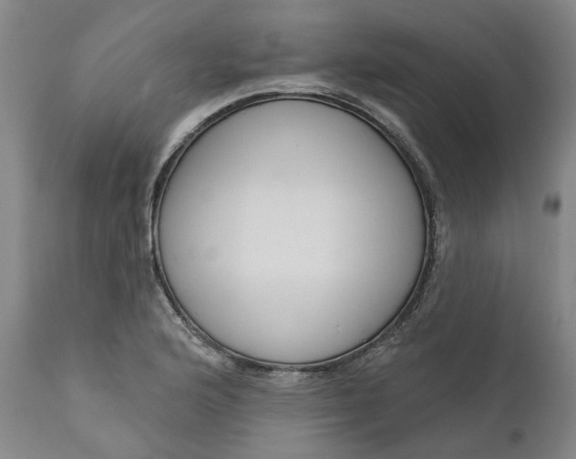 X0000111181176200907151317