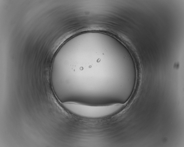 X0000111181177200907151317