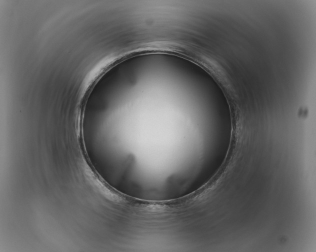 X0000111181180200907151316