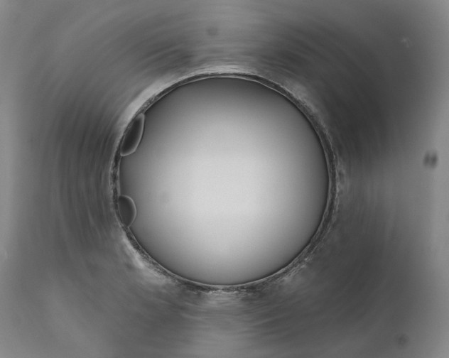 X0000111181181200907151316