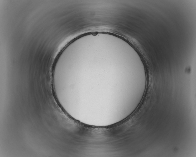 X0000111181184200907151316