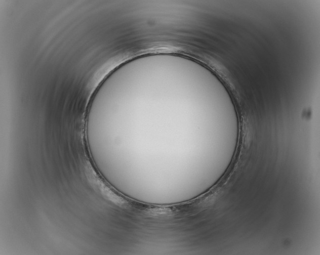 X0000111181186200907151316