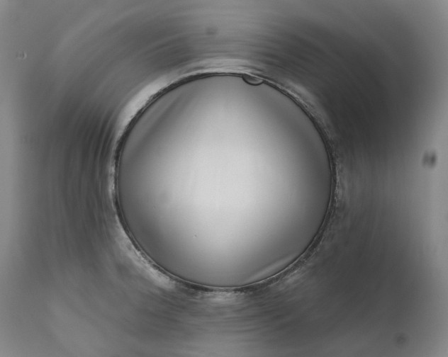 X0000111181188200907151316