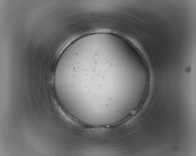 X0000111181193200907151316