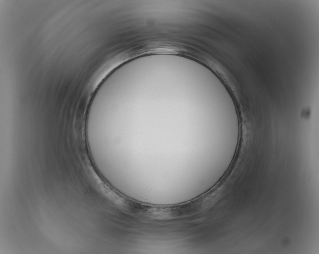 X0000111181194200907151316