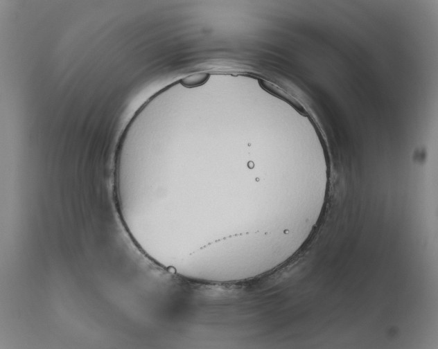 X0000111181195200907151316