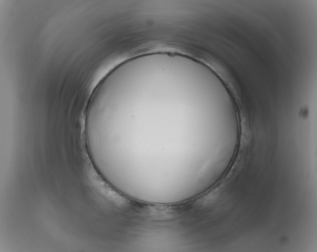 X0000111181198200907151316