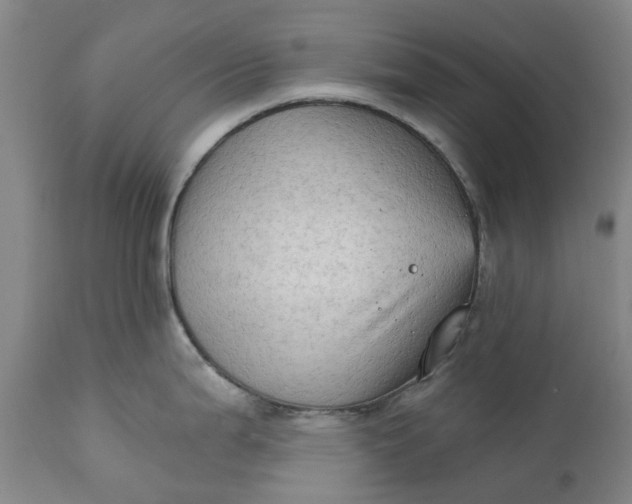 X0000111181199200907151316