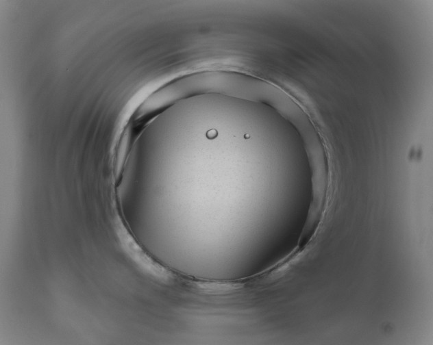 X0000111181200200907151316