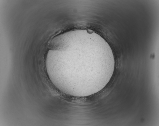 X0000111181201200907151316