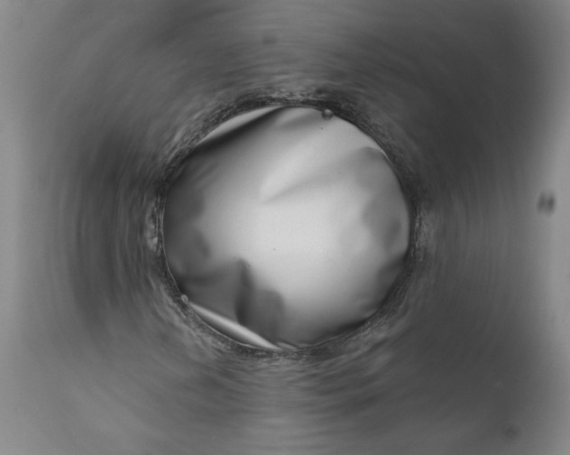 X0000111181202200907151316