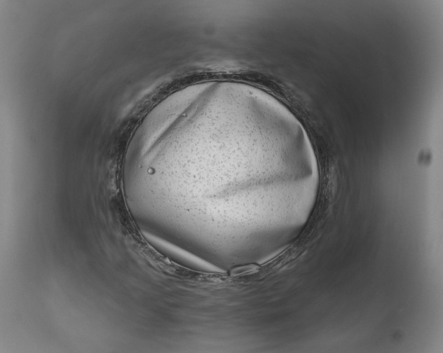 X0000111181205200907151316