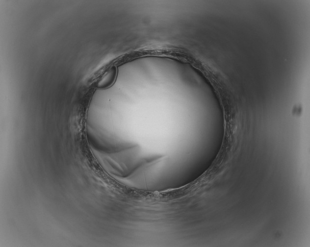 X0000111181206200907151316