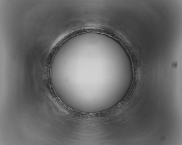 X0000111181208200907151316